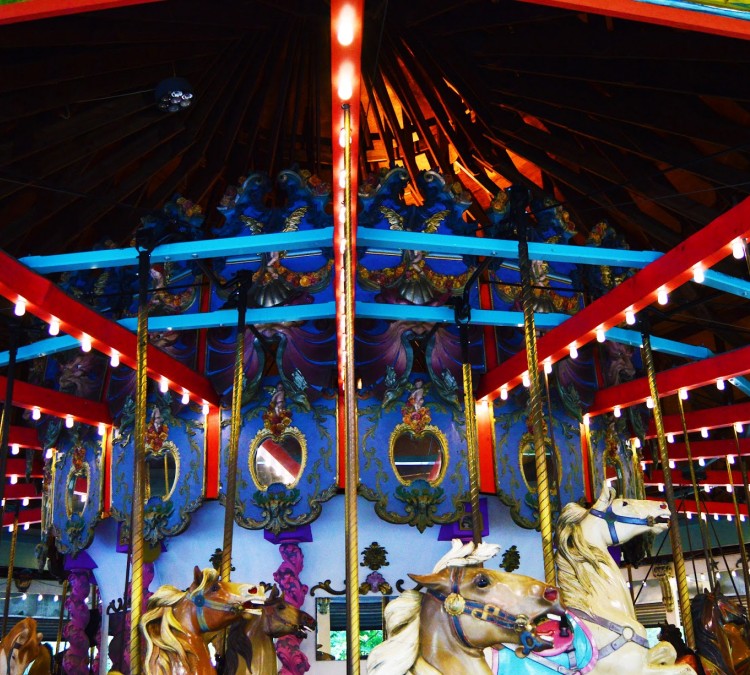 forest-park-carousel-amusement-village-photo